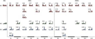 Evidence of synergy coordination patterns of upper-limb motor control in stroke patients with mild and moderate impairment